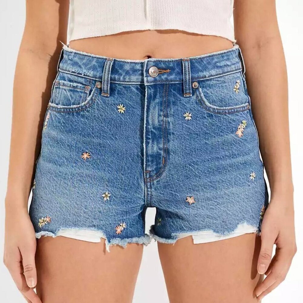 American Eagle Outfitters Embroidered Light Blue Denim Jean Shorts
